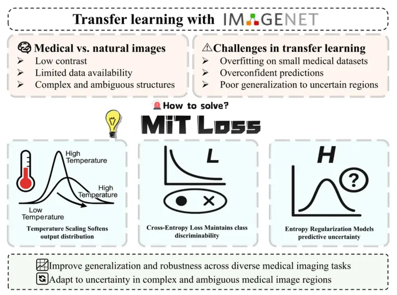 MiT Loss